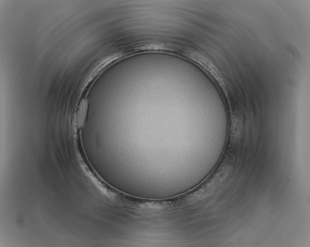 X0000112950898200909071113