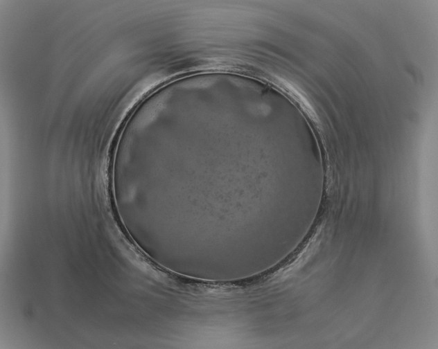 X0000112950899200909071113