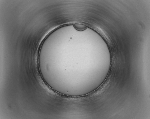 X0000112950900200909071113