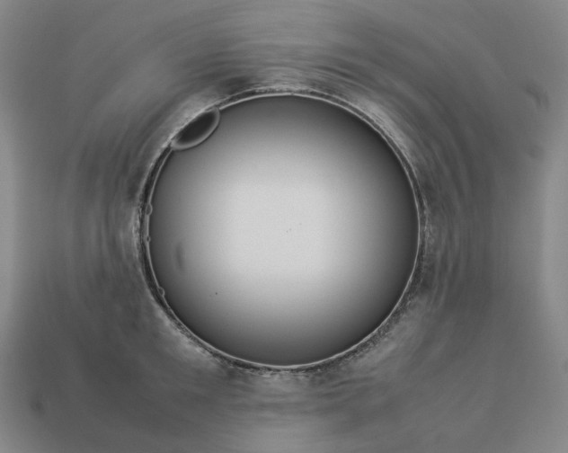 X0000112950901200909071113