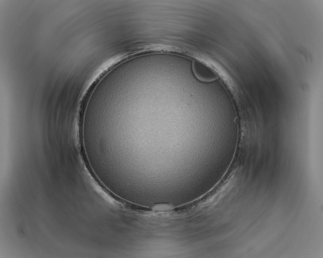 X0000112950902200909071113