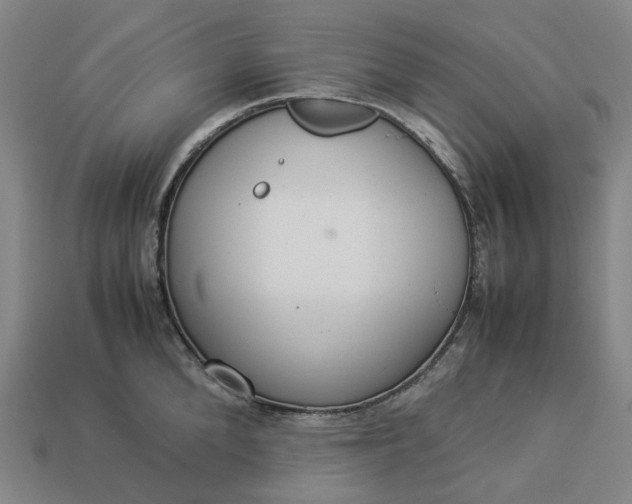 X0000112950904200909071113