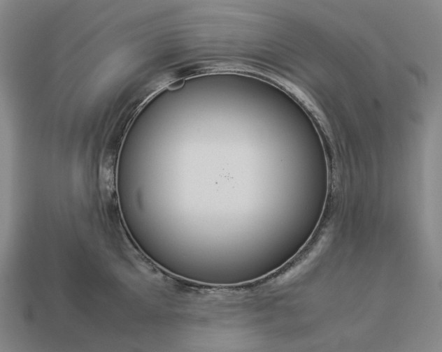 X0000112950905200909071113