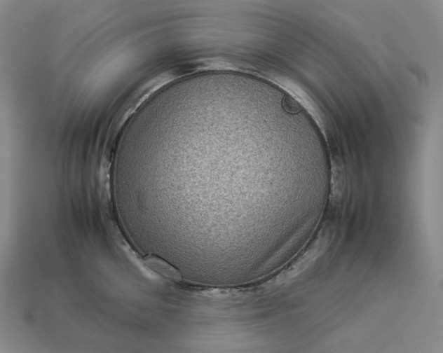 X0000112950906200909071113