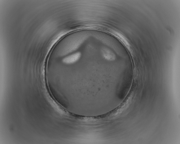 X0000112950907200909071113