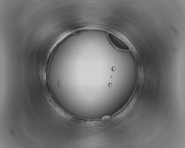 X0000112950908200909071113