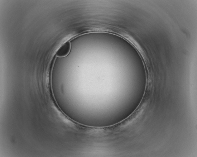 X0000112950909200909071113