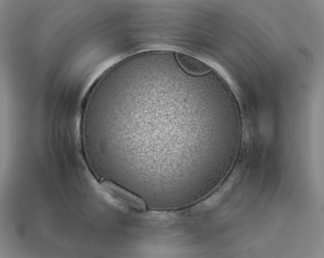 X0000112950910200909071113