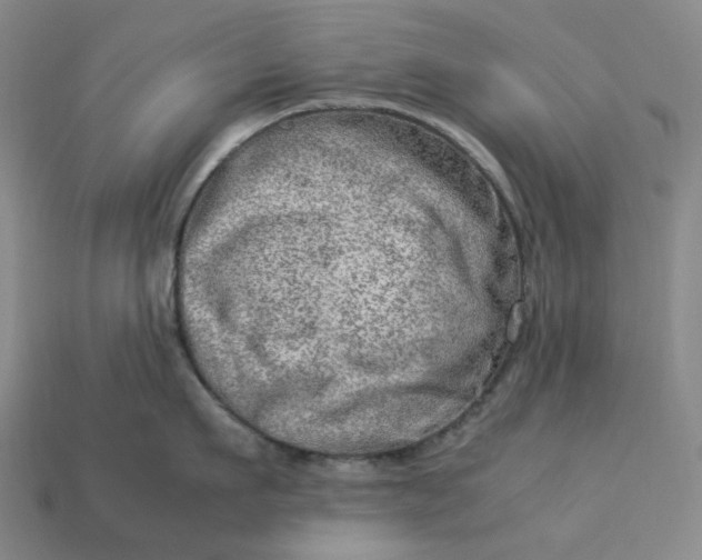 X0000112950911200909071113