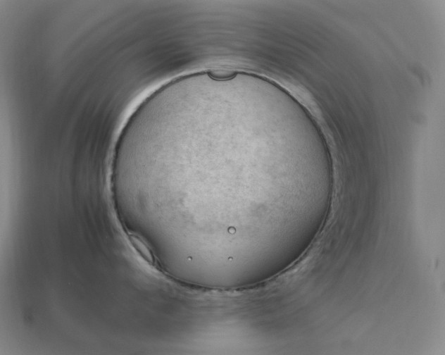 X0000112950912200909071113