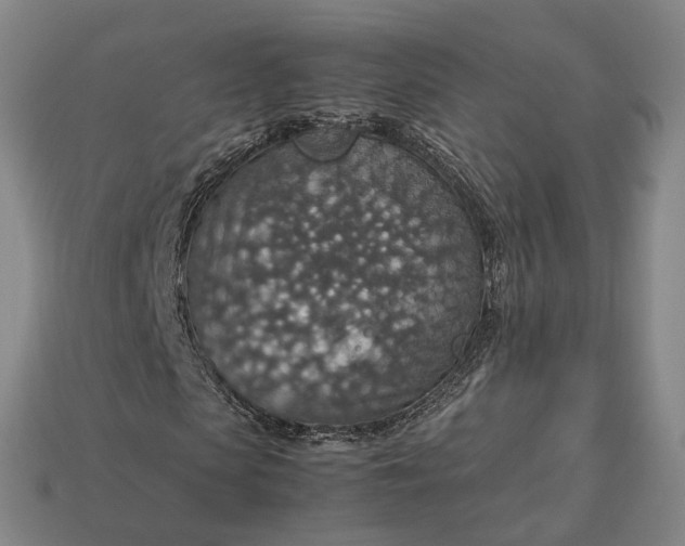 X0000112950913200909071112