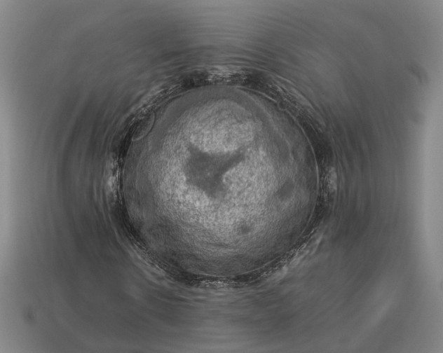 X0000112950914200909071112