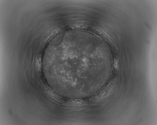 X0000112950915200909071112