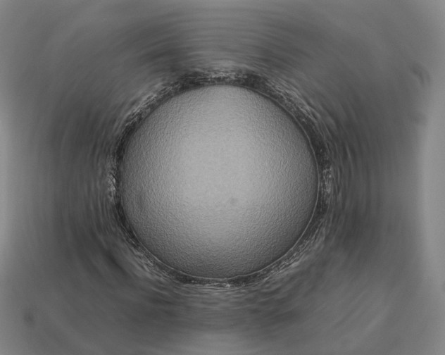 X0000112950916200909071112