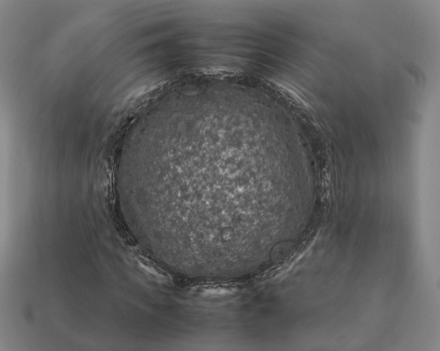 X0000112950917200909071112