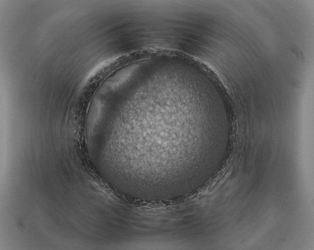 X0000112950919200909071112