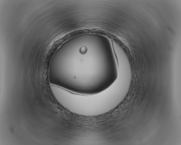 X0000112950920200909071112