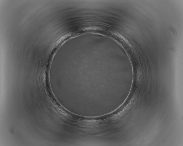 X0000112950921200909071112