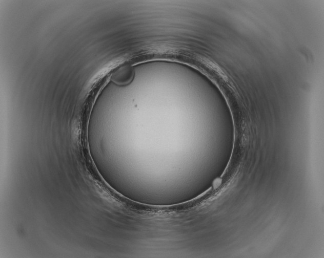 X0000112950922200909071112