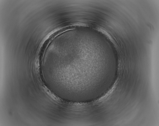 X0000112950923200909071112