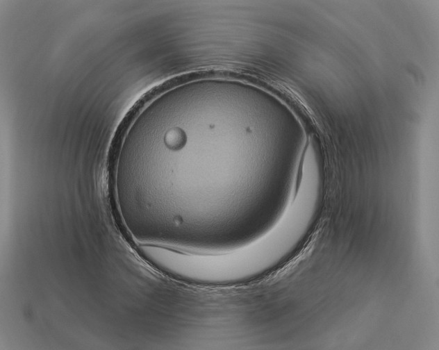 X0000112950924200909071112