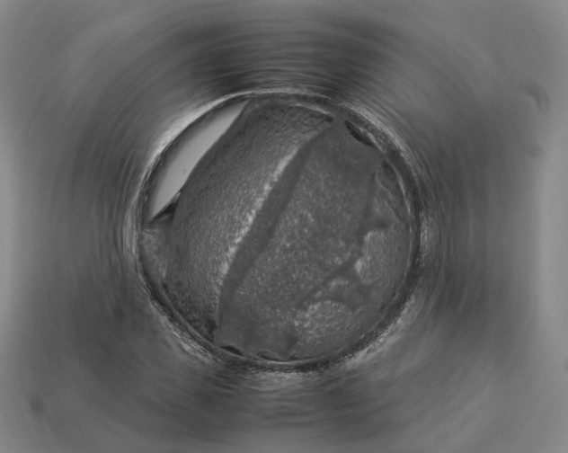 X0000112950925200909071112