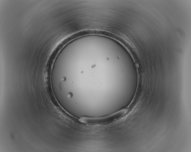 X0000112950926200909071112