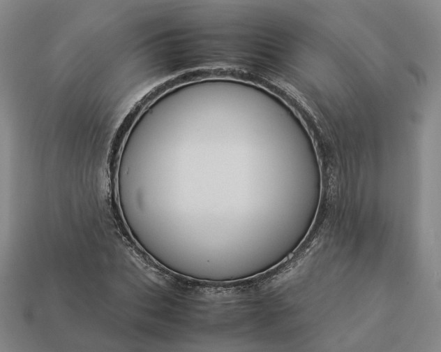 X0000112950927200909071112