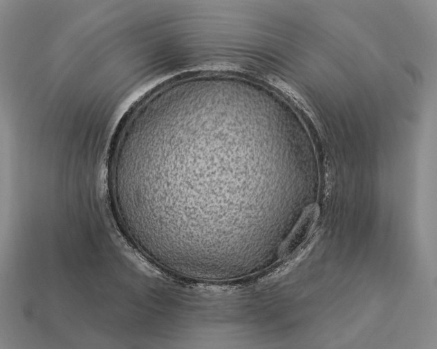 X0000112950928200909071112