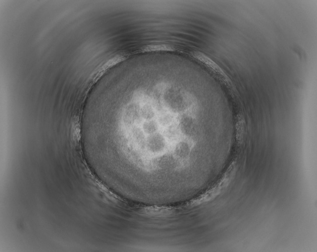 X0000112950929200909071112