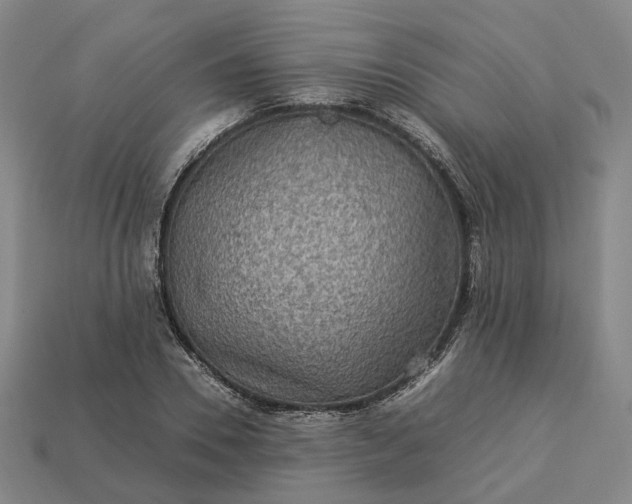 X0000112950930200909071112