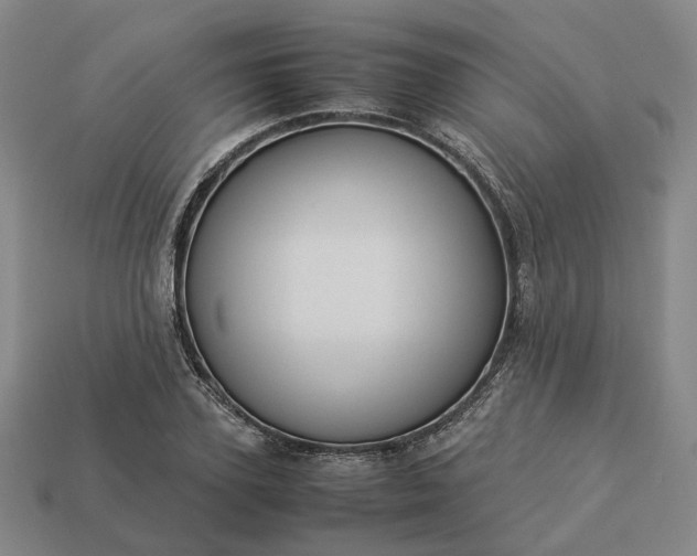 X0000112950931200909071112