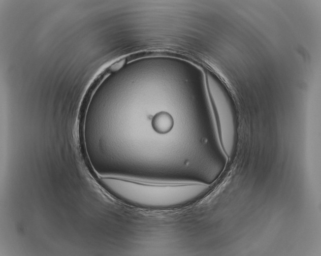 X0000112950932200909071112