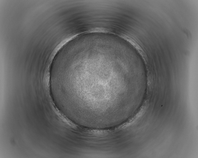 X0000112950933200909071112