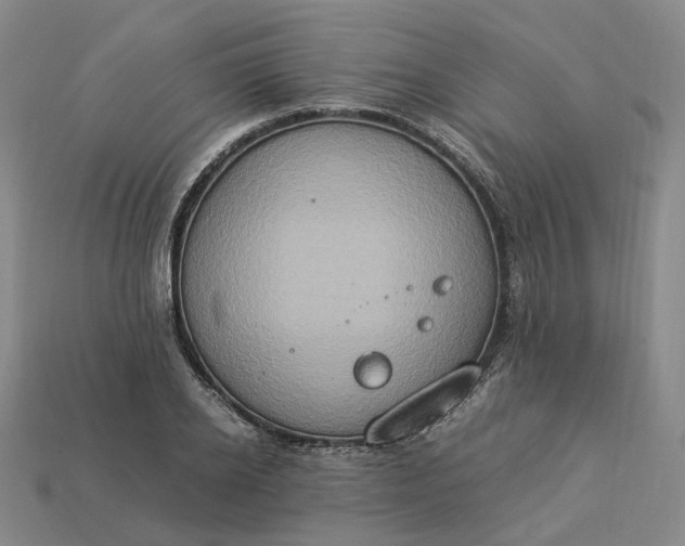 X0000112950934200909071112