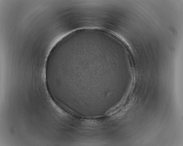 X0000112950935200909071112