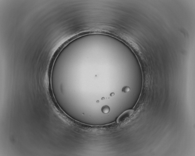 X0000112950936200909071112