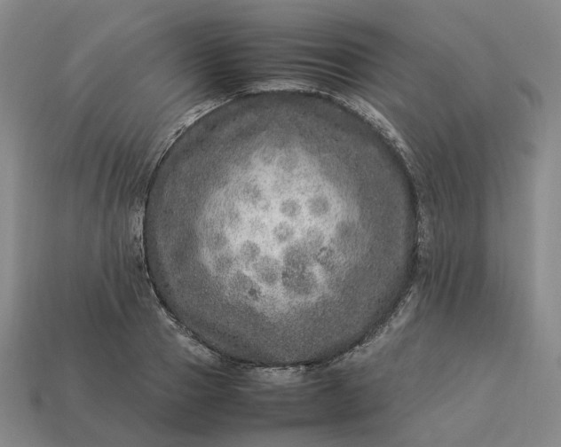 X0000112950937200909071112