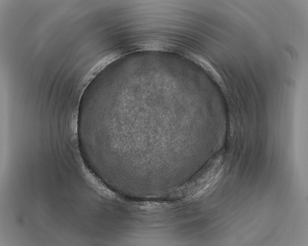 X0000112950938200909071112