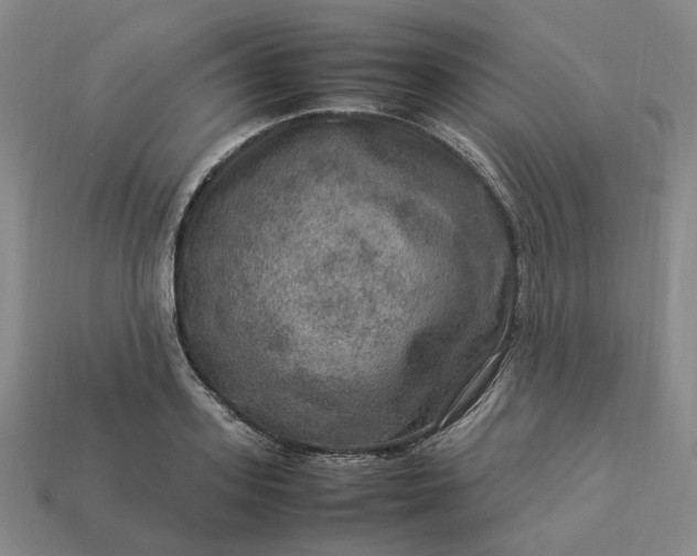 X0000112950939200909071112