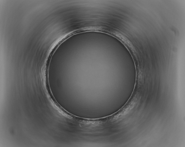 X0000112950941200909071112