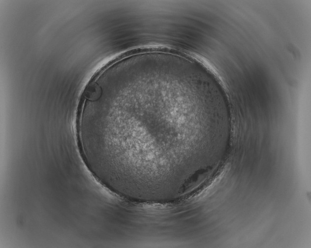 X0000112950943200909071113