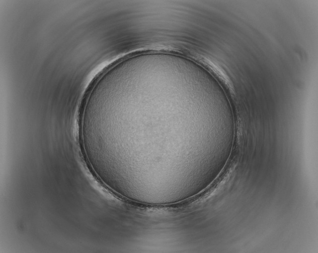 X0000112950944200909071113