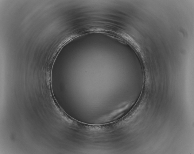 X0000112950945200909071113