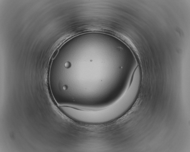 X0000112950946200909071113