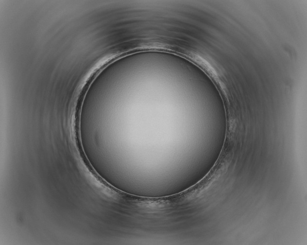 X0000112950947200909071113