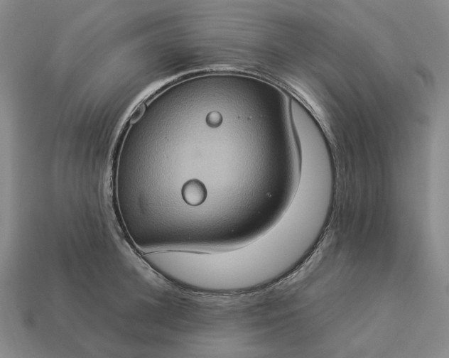 X0000112950948200909071113