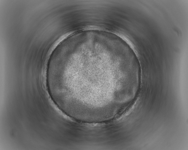 X0000112950949200909071113