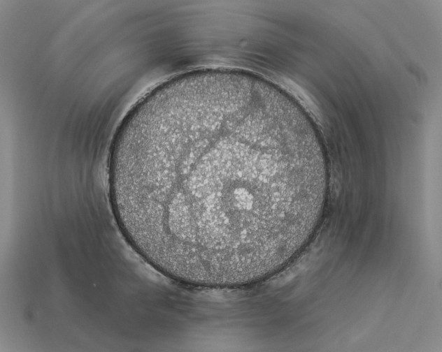 X0000112950950200909071113