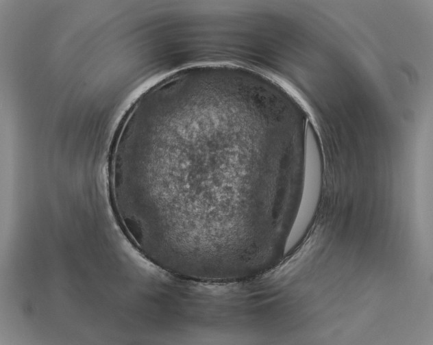 X0000112950951200909071113